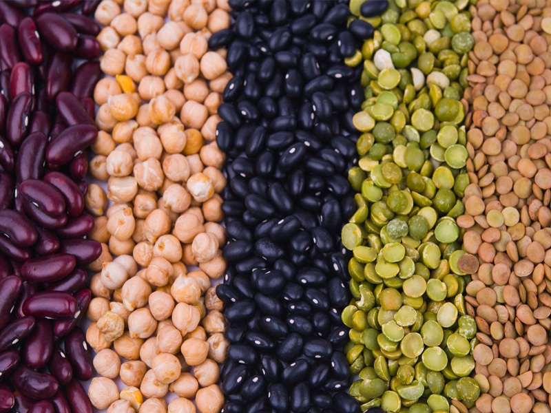 Pulses & Cereals